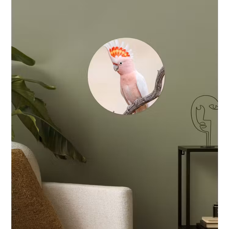 Behangcirkel - Papagaai - Tak - Roze — 3