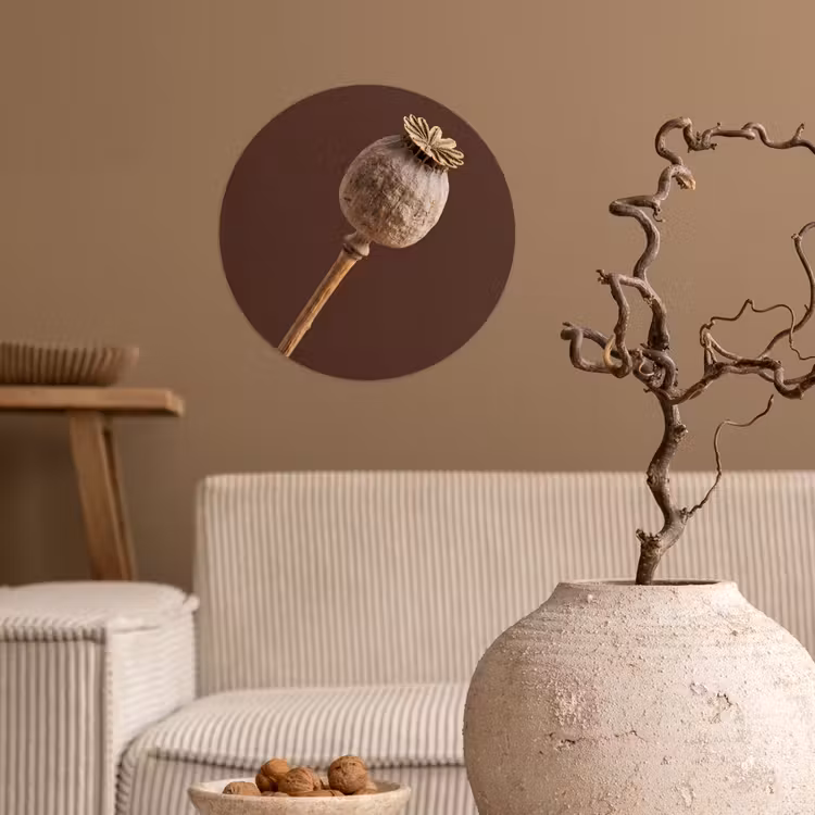 Behangcirkel - Papaverbol - Droogbloem - Bruin - Minimalistisch — 2