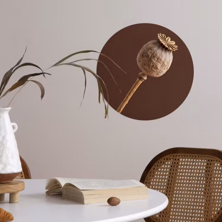 Behangcirkel - Papaverbol - Droogbloem - Bruin - Minimalistisch — 4