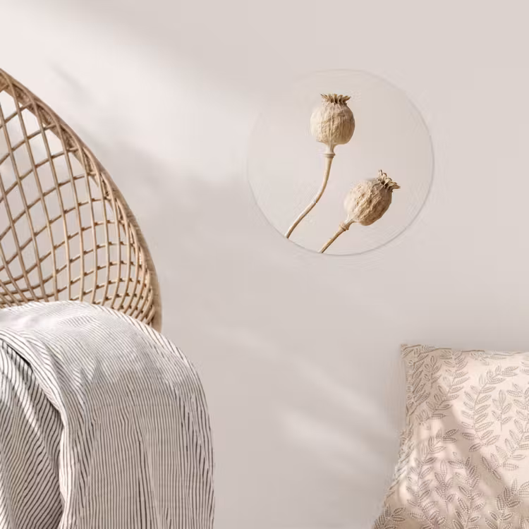 Behangcirkel - Papaverbollen - Droogbloemen - Minimalistisch - Beige - Rustig — 5