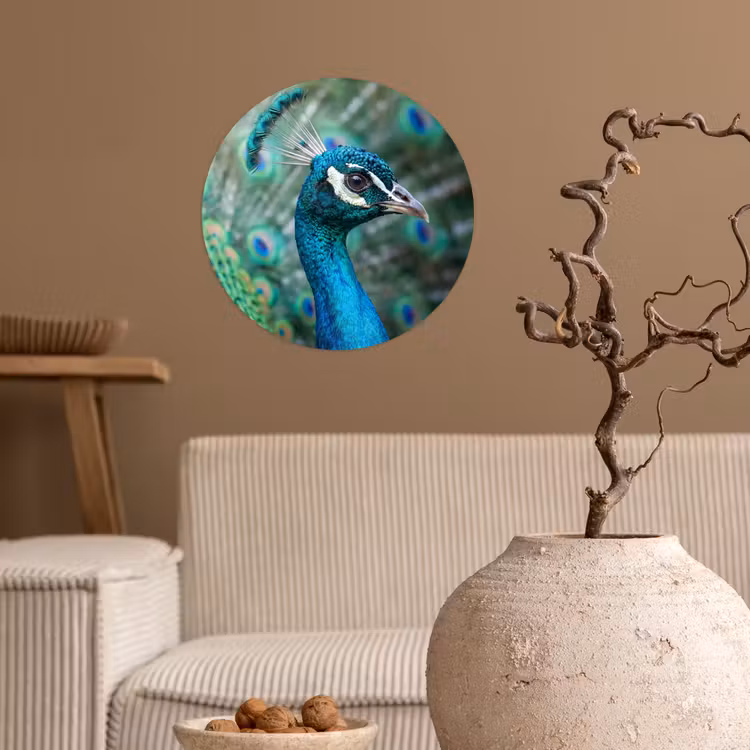Behangcirkel - Pauw - Veren - Blauw — 2