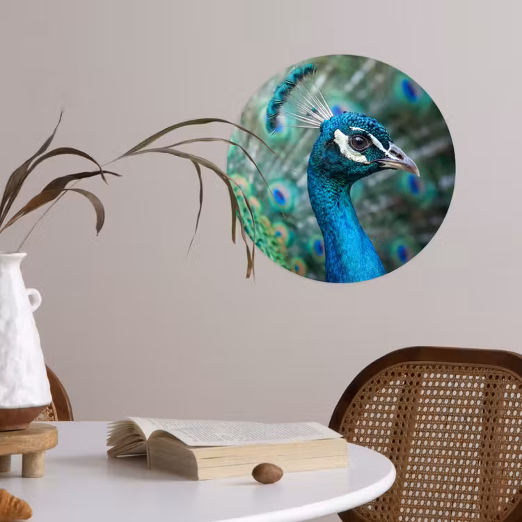 Behangcirkel - Pauw - Veren - Blauw — 4