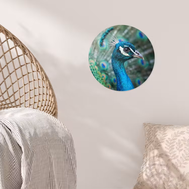 Behangcirkel - Pauw - Veren - Blauw — 5