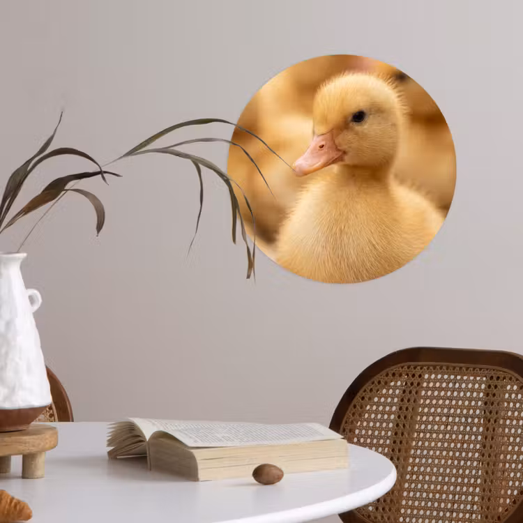 Behangcirkel - Pijltje - Eend - Natuur - Geel — 4
