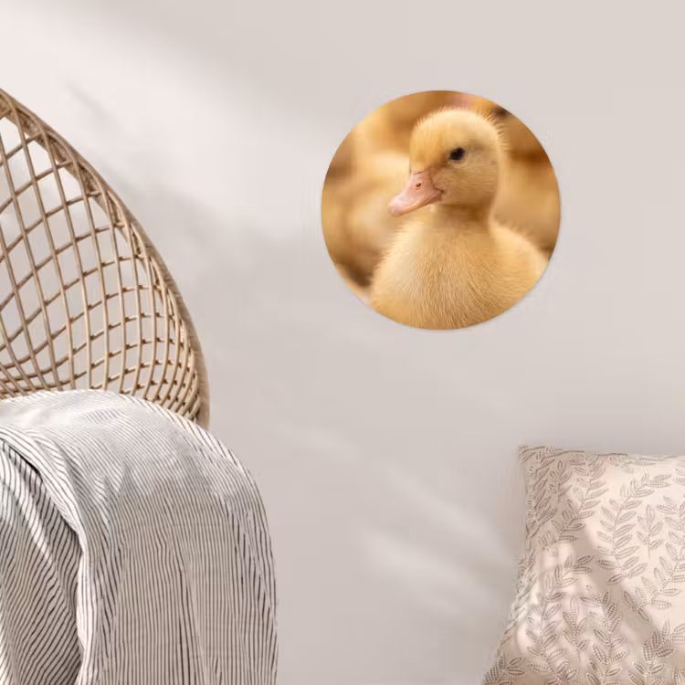 Behangcirkel - Pijltje - Eend - Natuur - Geel — 5