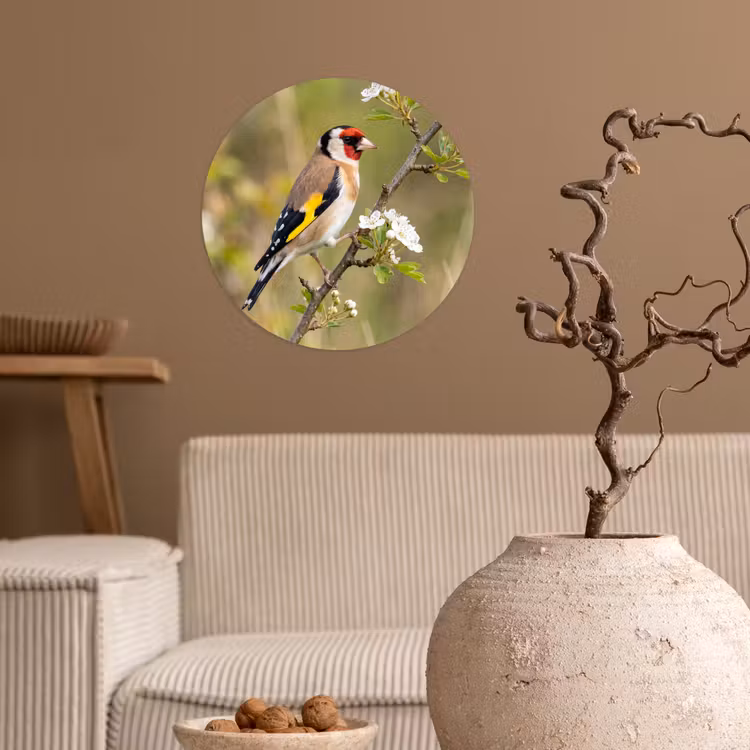 Behangcirkel - Putter - Bloesem - Lente - Natuur - Kleurrijk — 2
