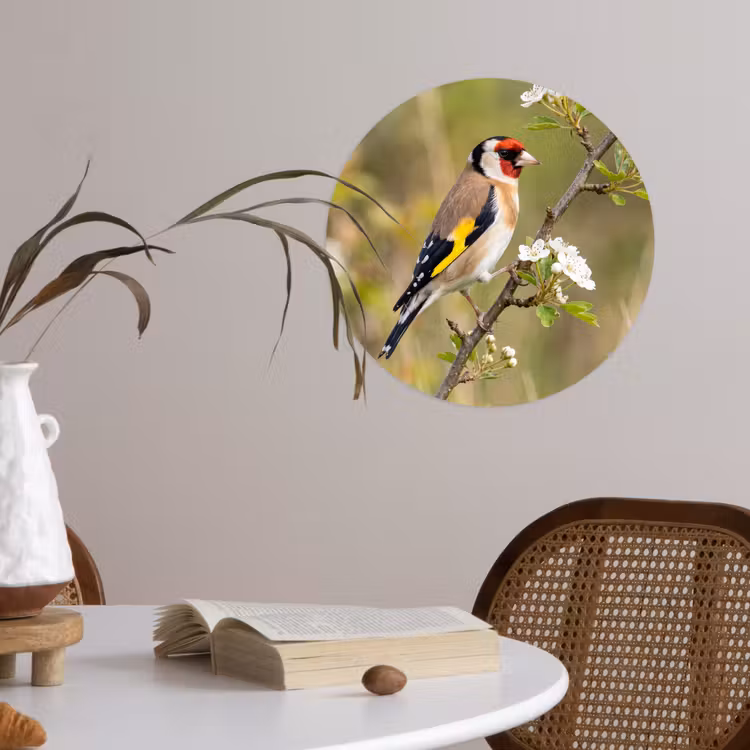 Behangcirkel - Putter - Bloesem - Lente - Natuur - Kleurrijk — 4