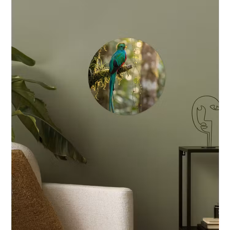 Behangcirkel - Quetzal - Jungle - Natuur - Groen — 3