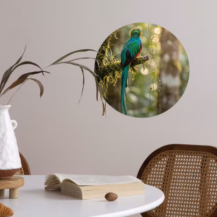 Behangcirkel - Quetzal - Jungle - Natuur - Groen — 4