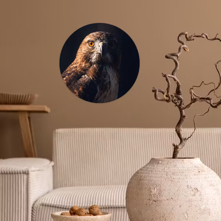 Behangcirkel - Roofvogel - Buizerd - Bruin — 2