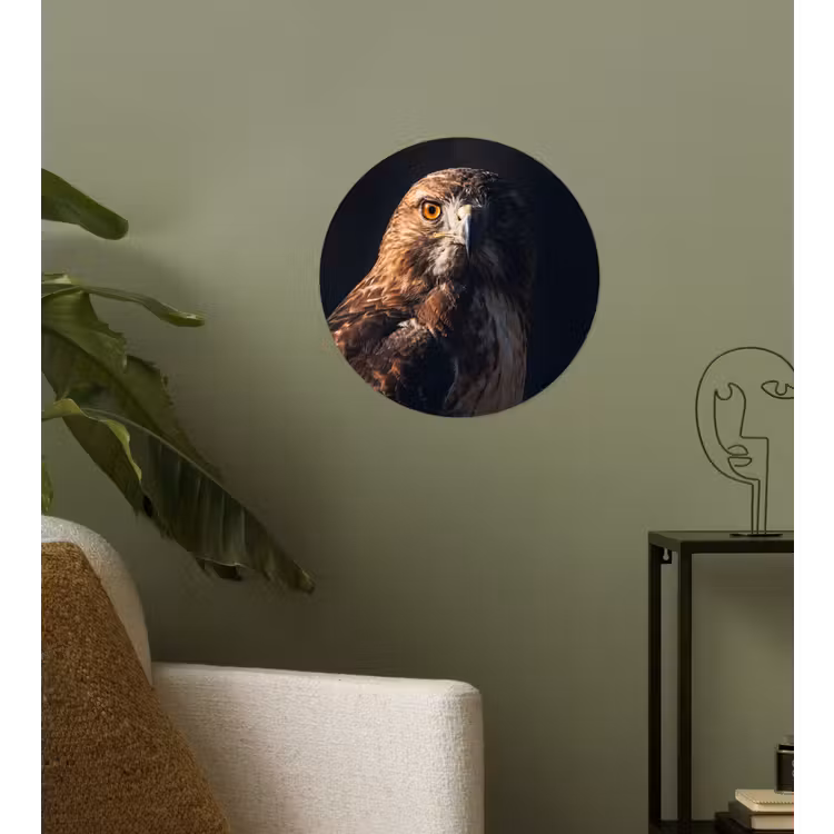Behangcirkel - Roofvogel - Buizerd - Bruin — 3