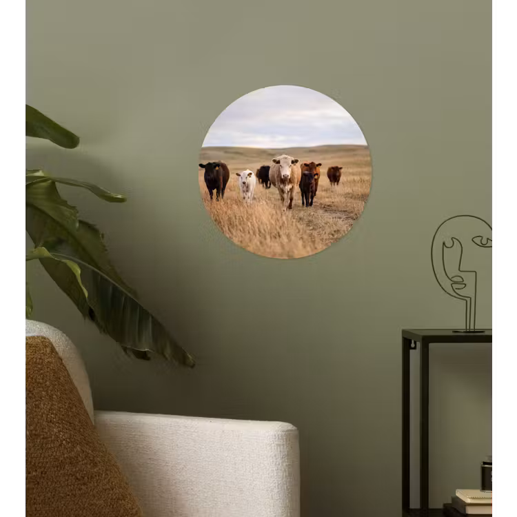 Behangcirkel - Runderen - Kudde - Landschap - Weide - Rustig — 3