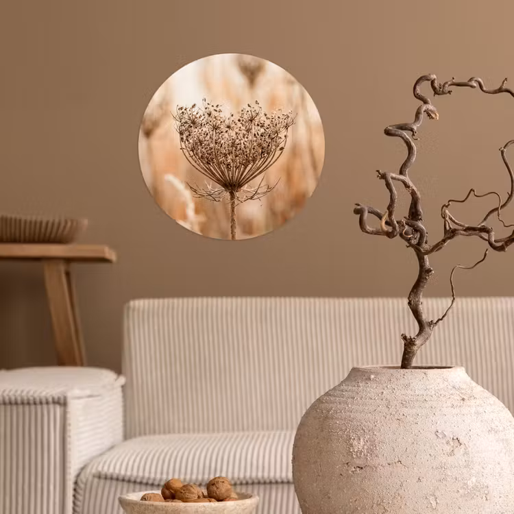 Behangcirkel - Schermbloem - Droogbloem - Winter - Beige - Minimalistisch — 2