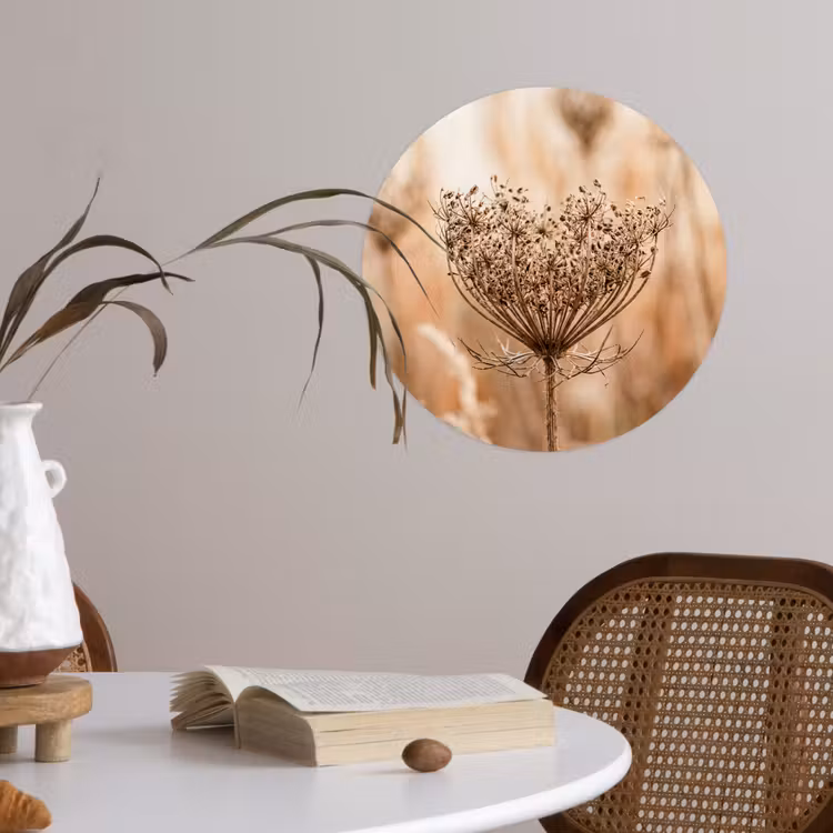 Behangcirkel - Schermbloem - Droogbloem - Winter - Beige - Minimalistisch — 4