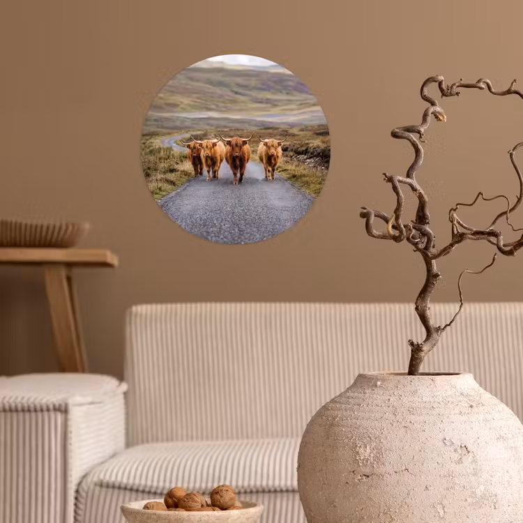 Behangcirkel - Schotse Hooglanders - Weg - Landschap - Kudde — 2