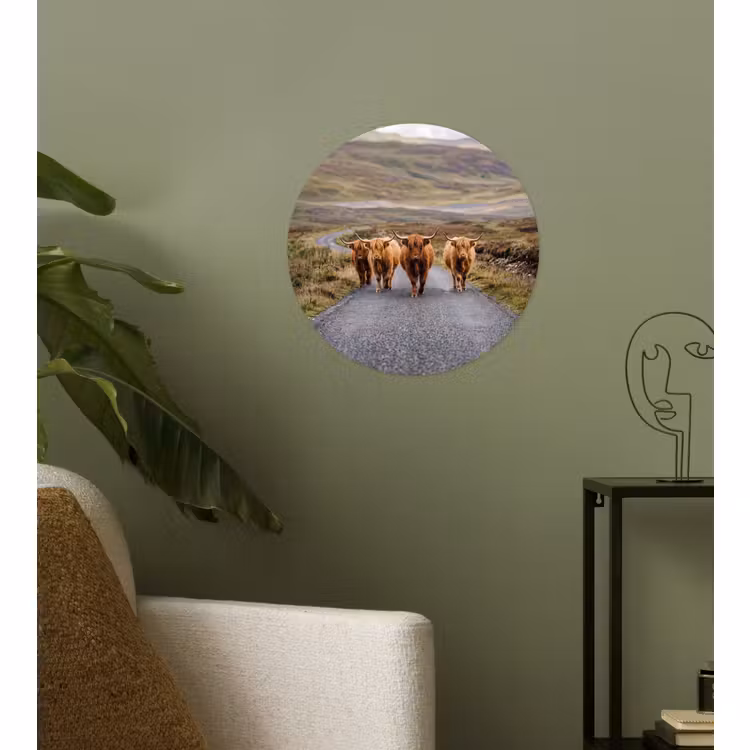 Behangcirkel - Schotse Hooglanders - Weg - Landschap - Kudde — 3