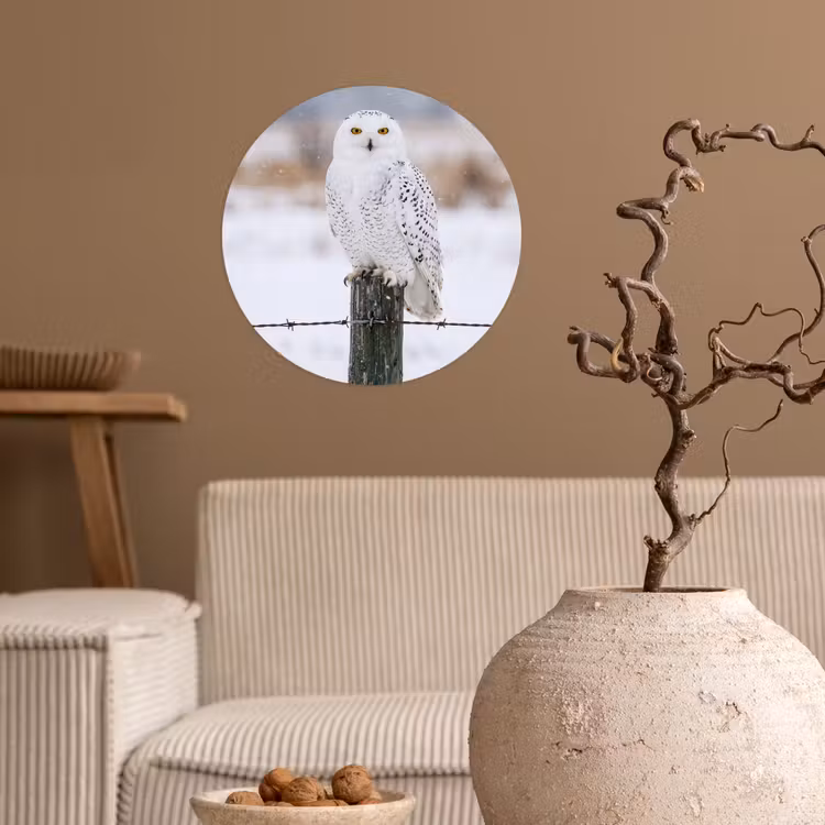 Behangcirkel - Sneeuwuil - Hek - Sneeuw - Wit — 2