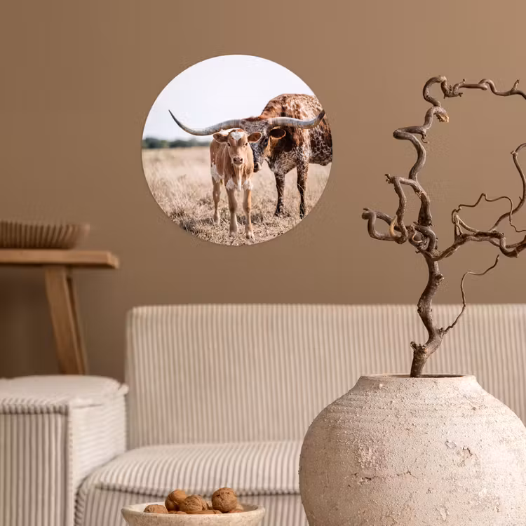 Behangcirkel - Texas Longhorn - Kalf - Weide - Dieren — 2