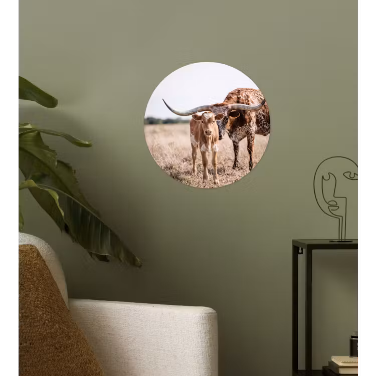 Behangcirkel - Texas Longhorn - Kalf - Weide - Dieren — 3