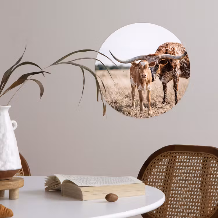 Behangcirkel - Texas Longhorn - Kalf - Weide - Dieren — 4