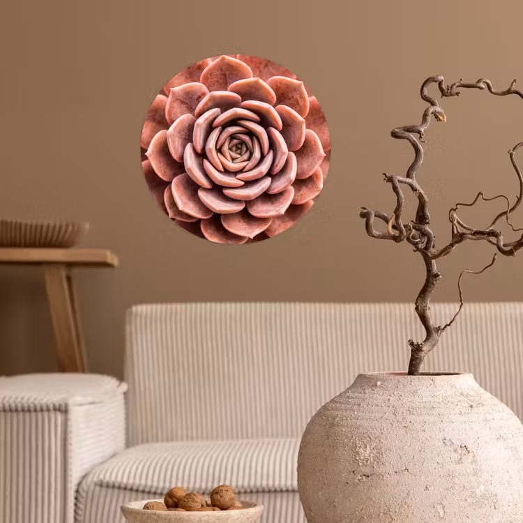 Behangcirkel - Vetplant - Organisch - Roze — 2