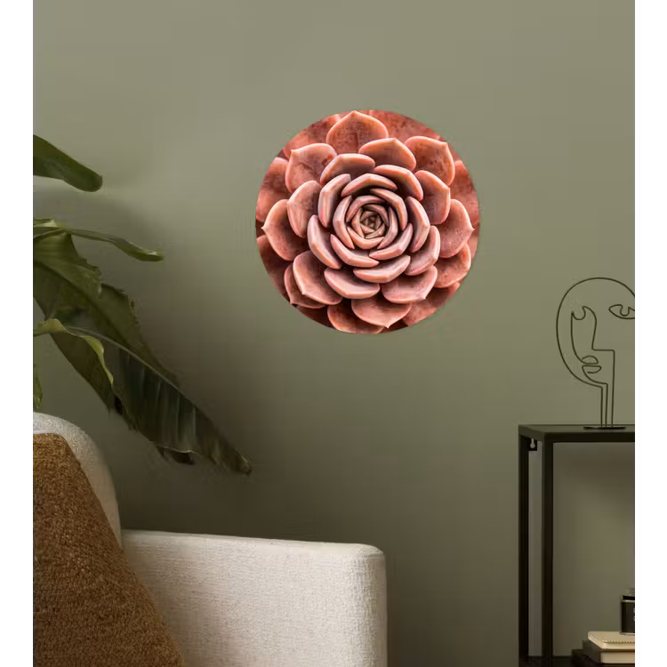 Behangcirkel - Vetplant - Organisch - Roze — 3