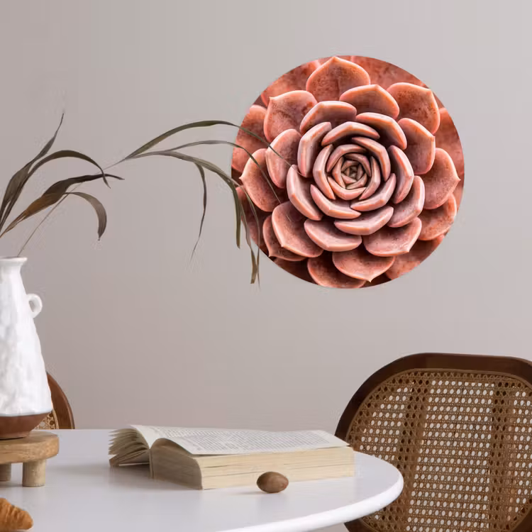Behangcirkel - Vetplant - Organisch - Roze — 4