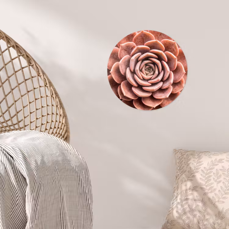 Behangcirkel - Vetplant - Organisch - Roze — 5