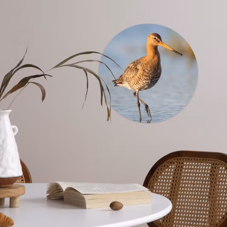 Behangcirkel - Vogel - Steltloper - Water - Natuur — 4