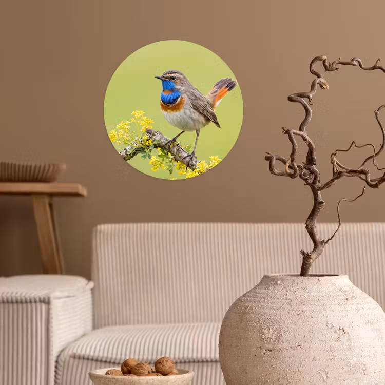 Behangcirkel - Vogel - Tak - Natuur - Kleurrijk — 2