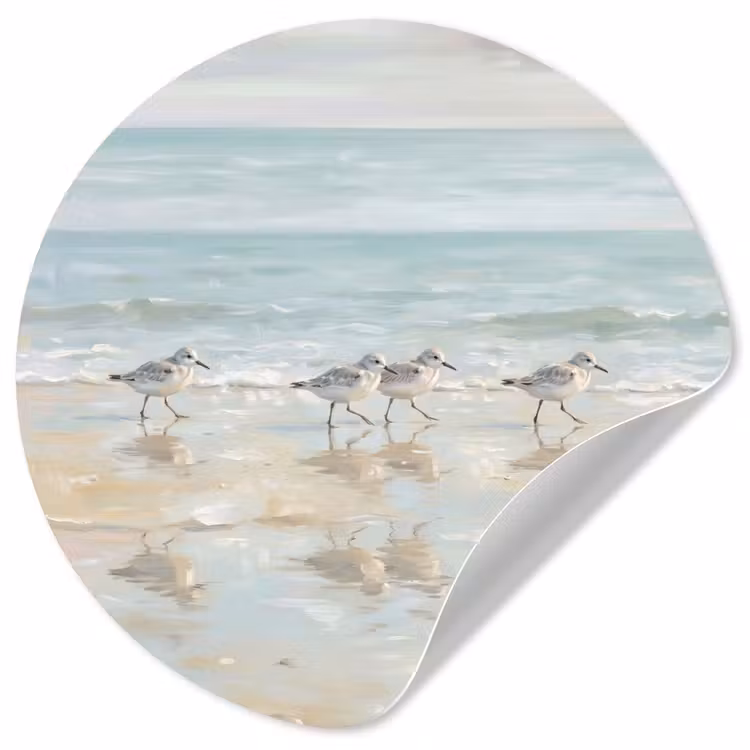 Behangcirkel - Vogels - Strand - Zee — 1