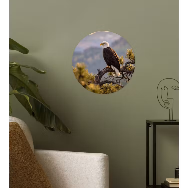 Behangcirkel - Zeearend - Boom - Bergen - Groen — 3