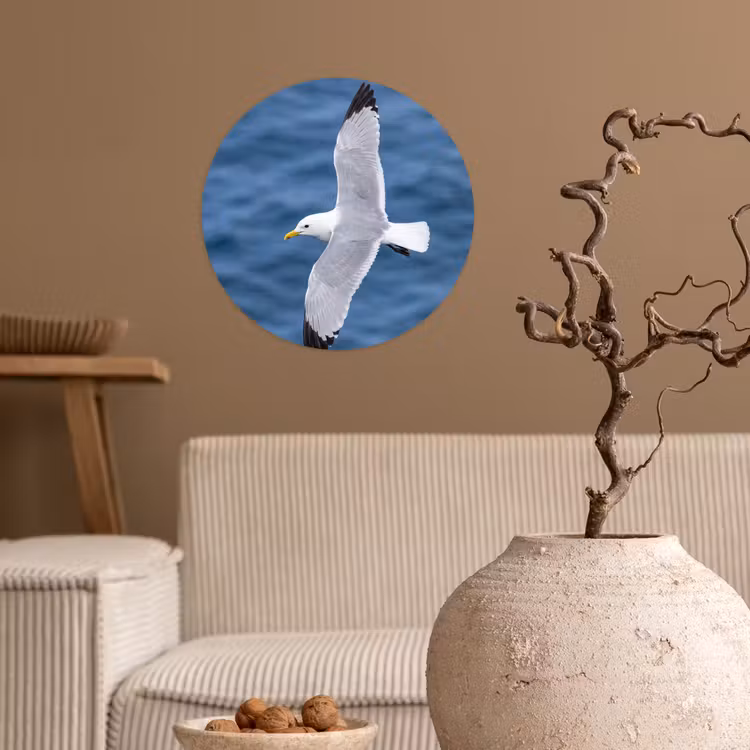 Behangcirkel - Zeemeeuw - Oceaan - Blauw — 2