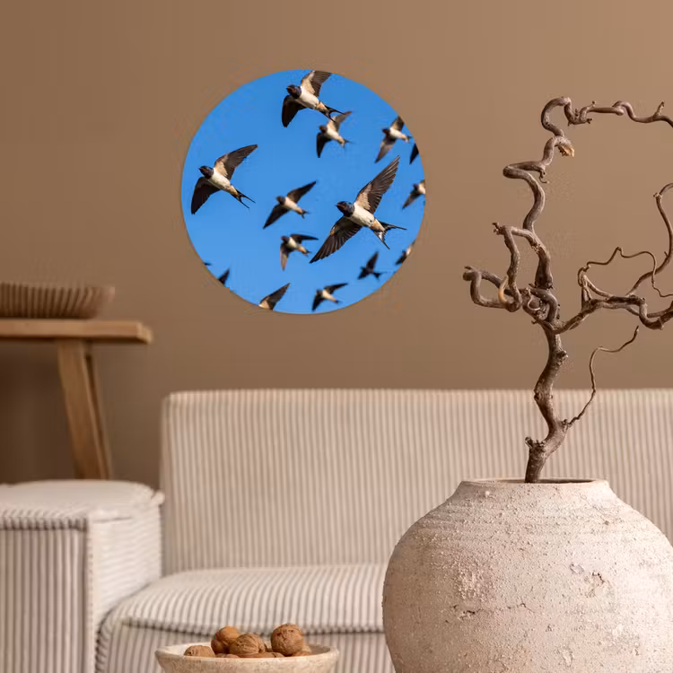 Behangcirkel - Zwaluwen - Vliegen - Blauw — 2