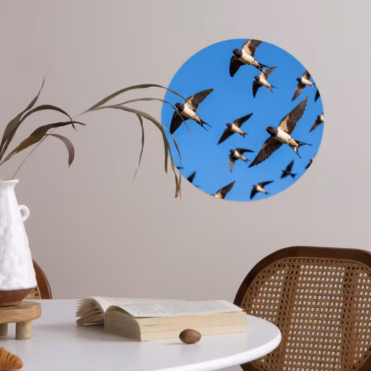 Behangcirkel - Zwaluwen - Vliegen - Blauw — 4