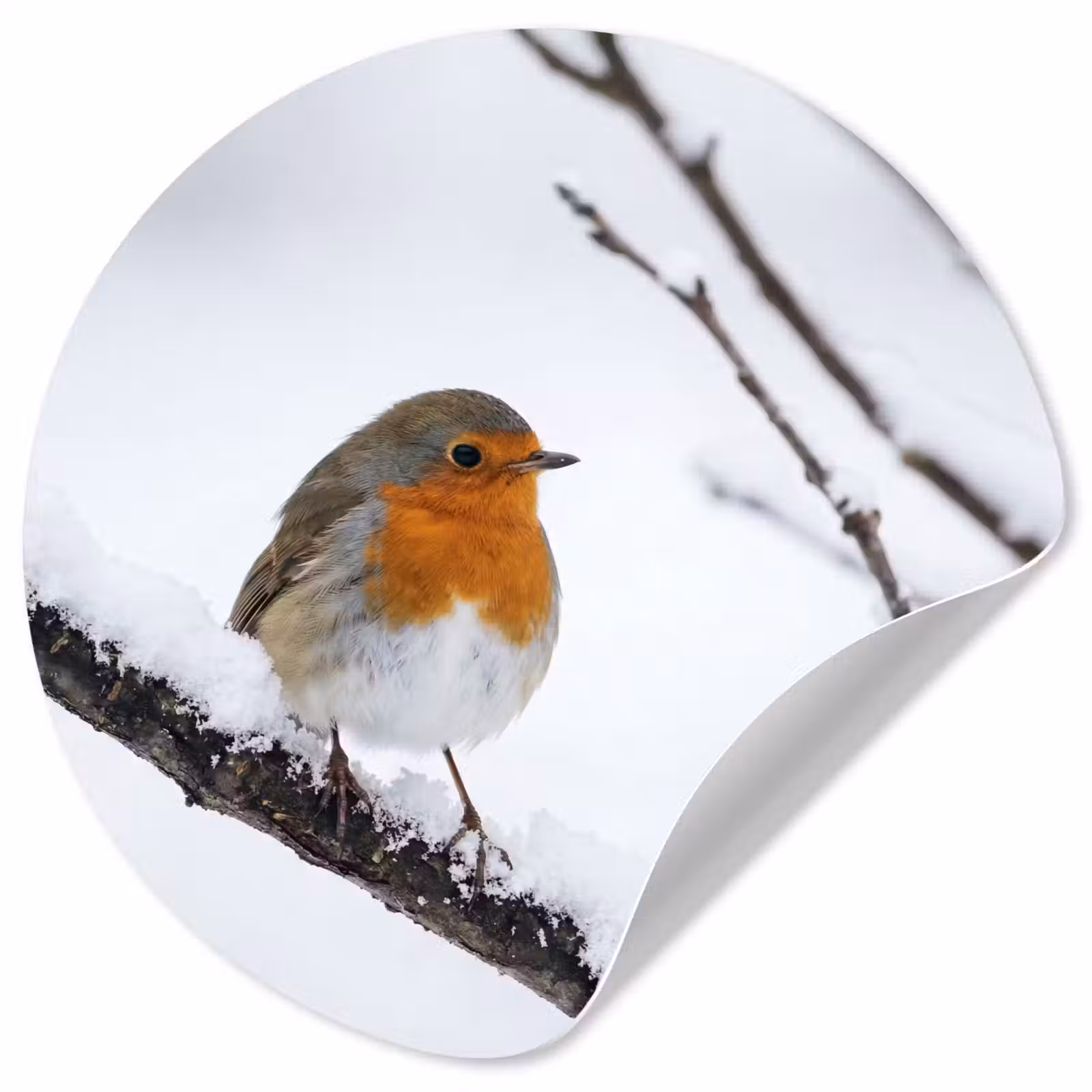 Behangcirkel - Roodborstje - Tak - Sneeuw - Winter - Levendig — 1