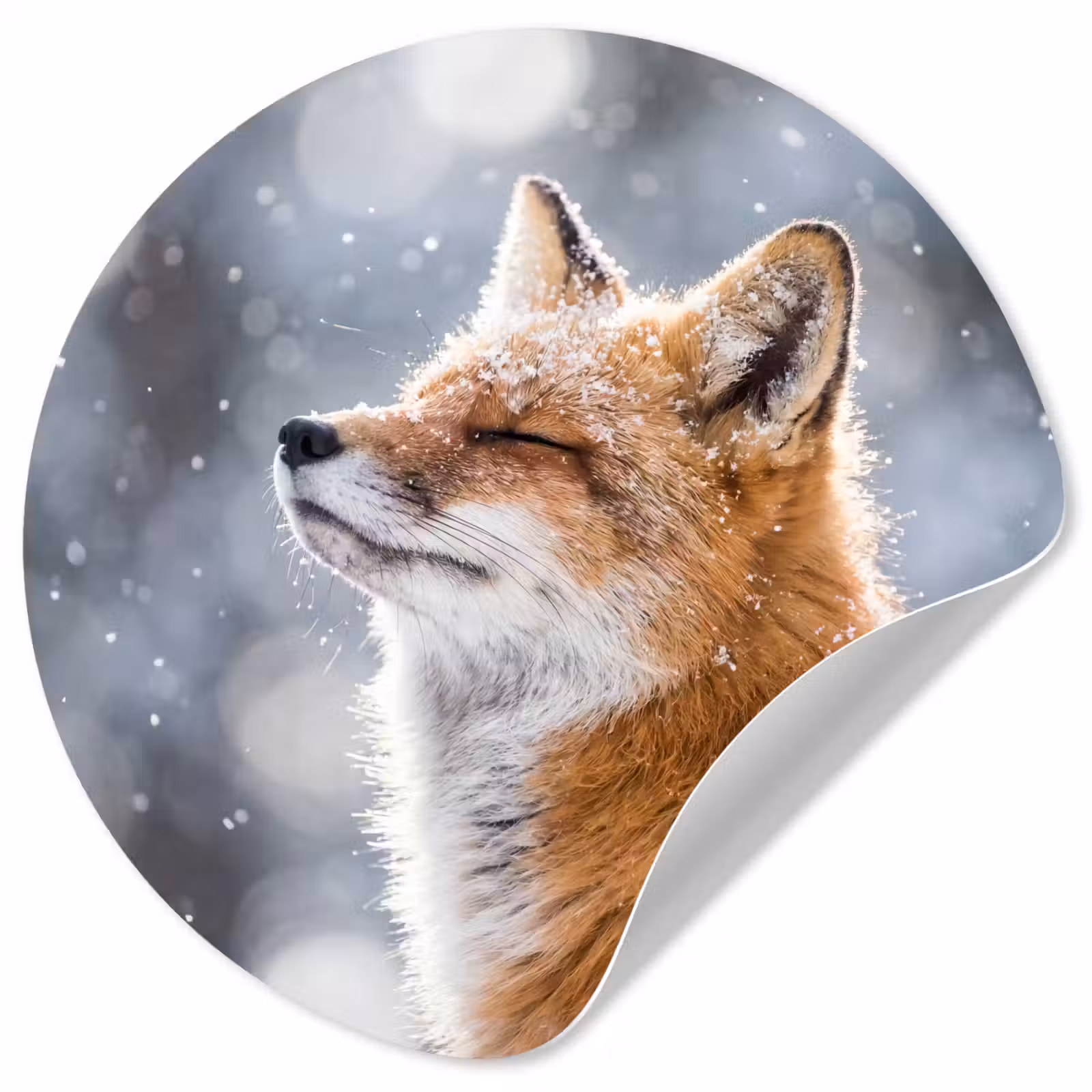 Behangcirkel - Vos - Sneeuwval - Portret - Winter - Sfeervol — 1