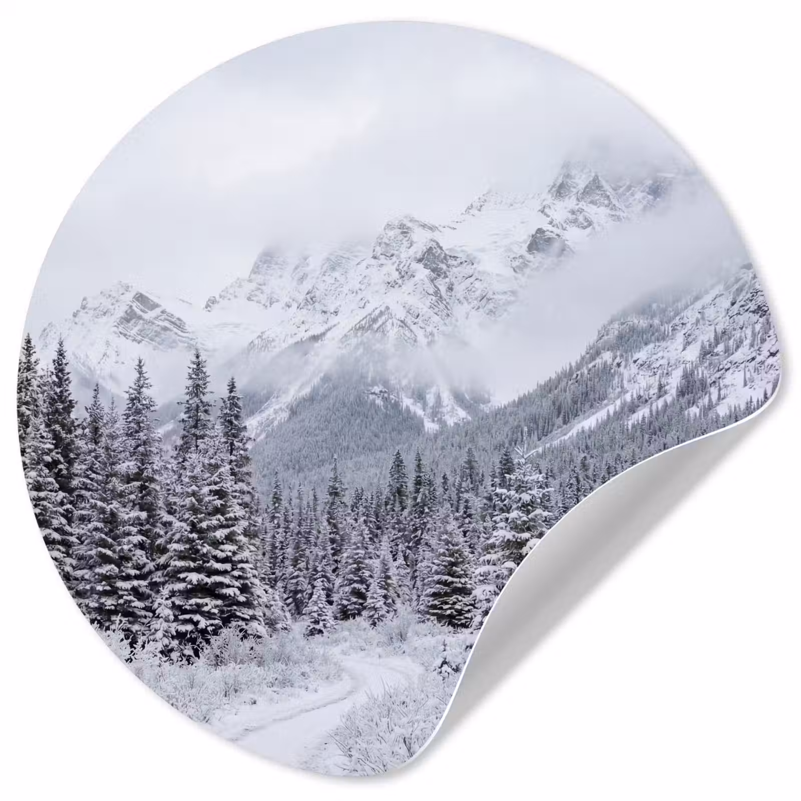Behangcirkel - Weg - Bergen - Sneeuw - Naaldbos - Avontuurlijk — 1