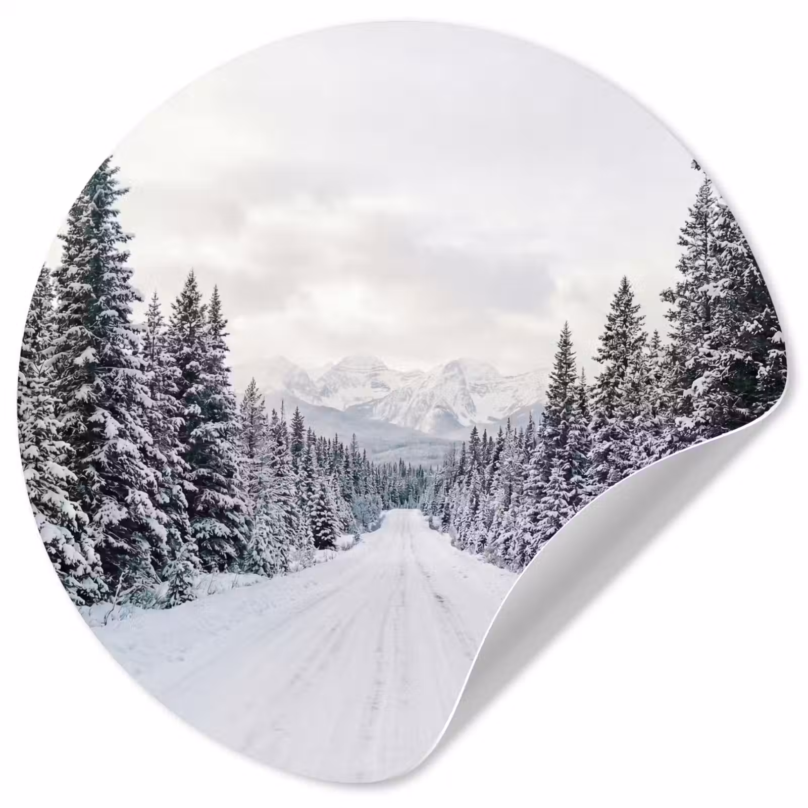 Behangcirkel - Weg - Sneeuw - Naaldbos - Winter - Avontuurlijk — 1
