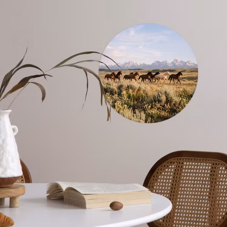 Behangcirkel - Paarden - Kudde - Bergen - Vrijheid - Wild — 4