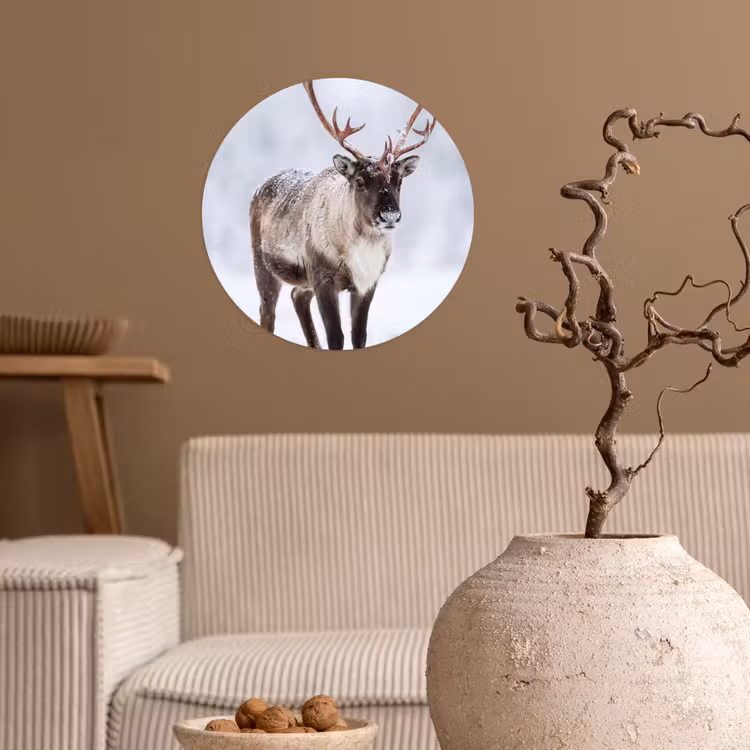 Behangcirkel - Rendier - Gewei - Toendra - Sneeuw - Wild — 2