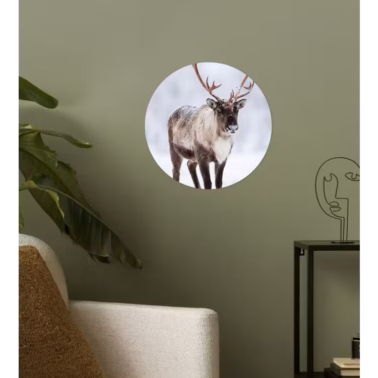Behangcirkel - Rendier - Gewei - Toendra - Sneeuw - Wild — 3