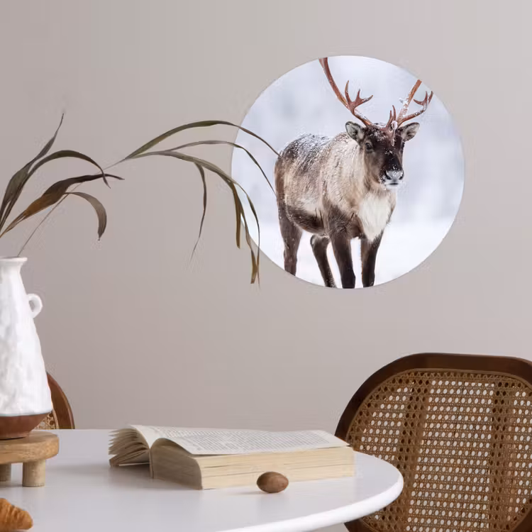 Behangcirkel - Rendier - Gewei - Toendra - Sneeuw - Wild — 4