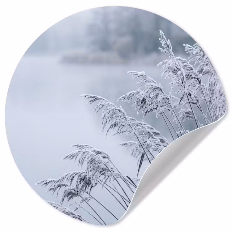 Behangcirkel - Riet - Bevroren - Winter - Natuur — 1