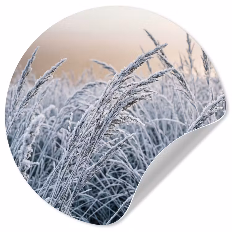 Behangcirkel - Rijp - Gras - Kristallen - Winter - Minimalistisch — 1