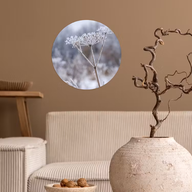 Behangcirkel - Schermbloem - Rijp - Kristallen - Winter - Delicaat — 2
