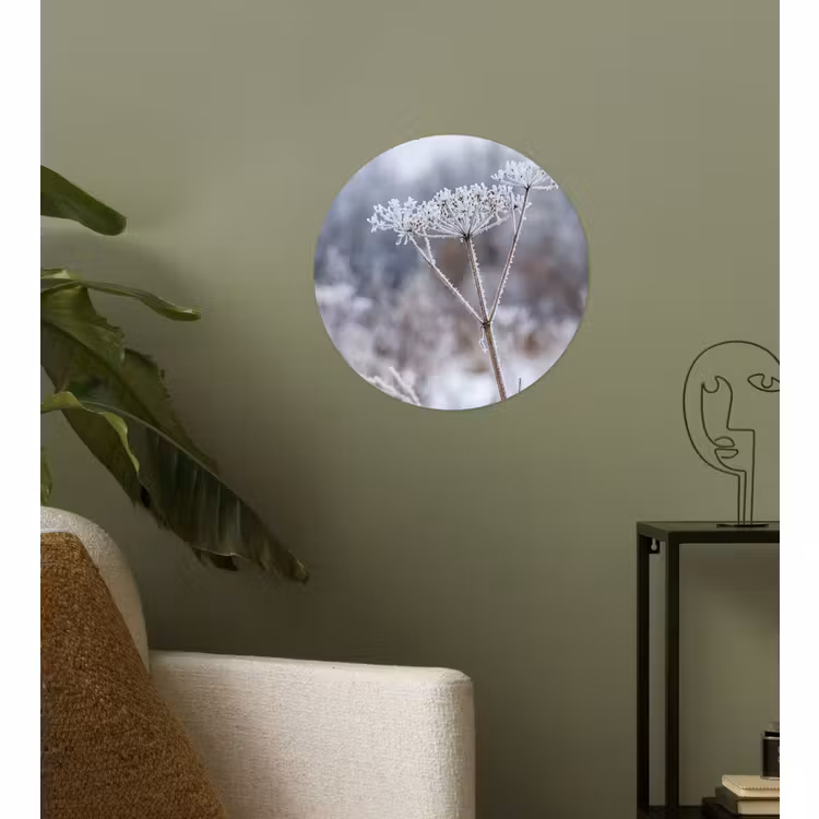 Behangcirkel - Schermbloem - Rijp - Kristallen - Winter - Delicaat — 3