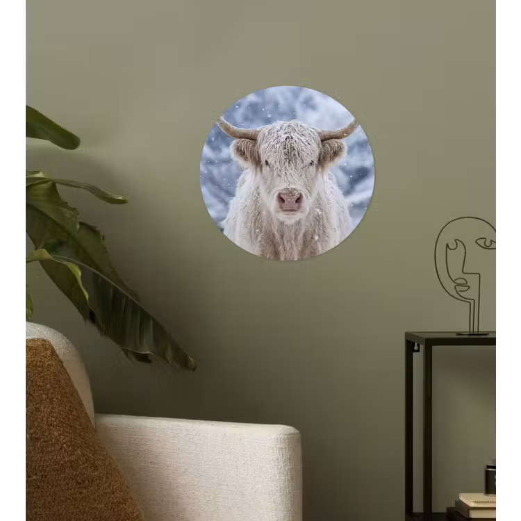 Behangcirkel - Schotse Hooglander - Sneeuw - Bergen - Winter — 3