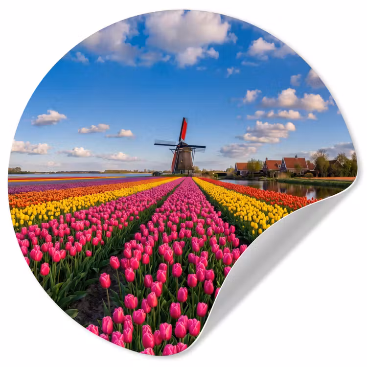 Behangcirkel - Tulpen - Holland - Molen - Kleurrijk — 1