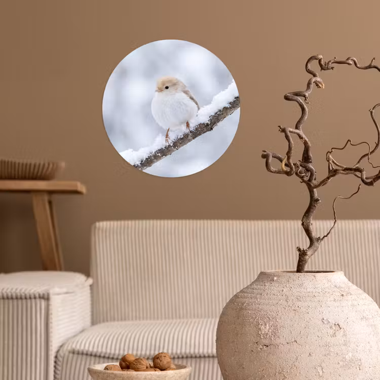 Behangcirkel - Vogeltje - Sneeuw - Tak - Winter - Zacht — 2